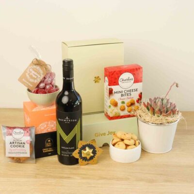 Red Wine and Succulent Gift Hamper with Cookies - Medium